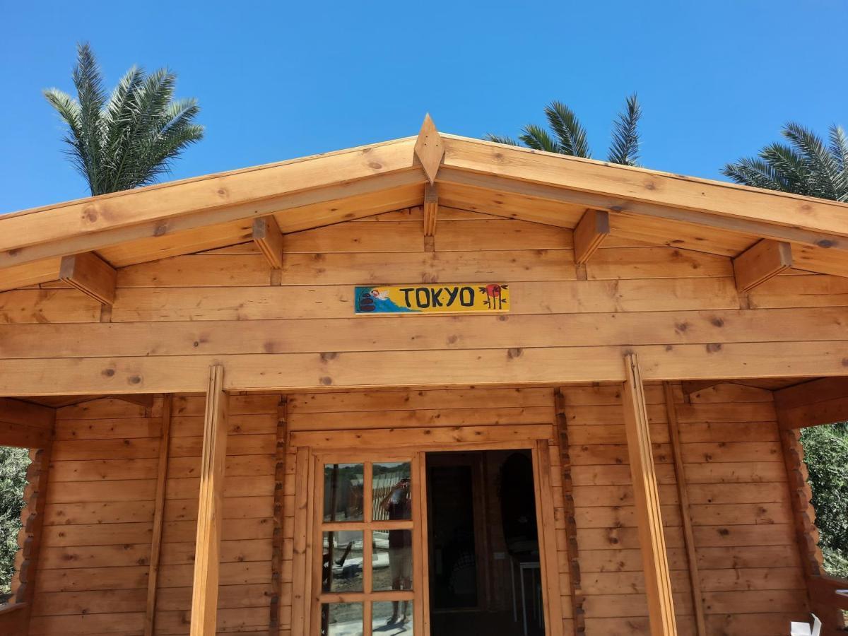 Готель Cyprus Glamping Park Agios Theodoros Екстер'єр фото
