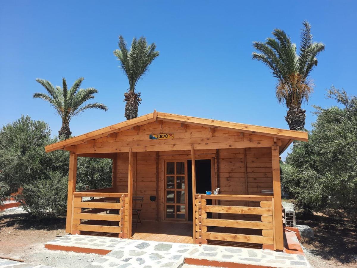 Готель Cyprus Glamping Park Agios Theodoros Екстер'єр фото