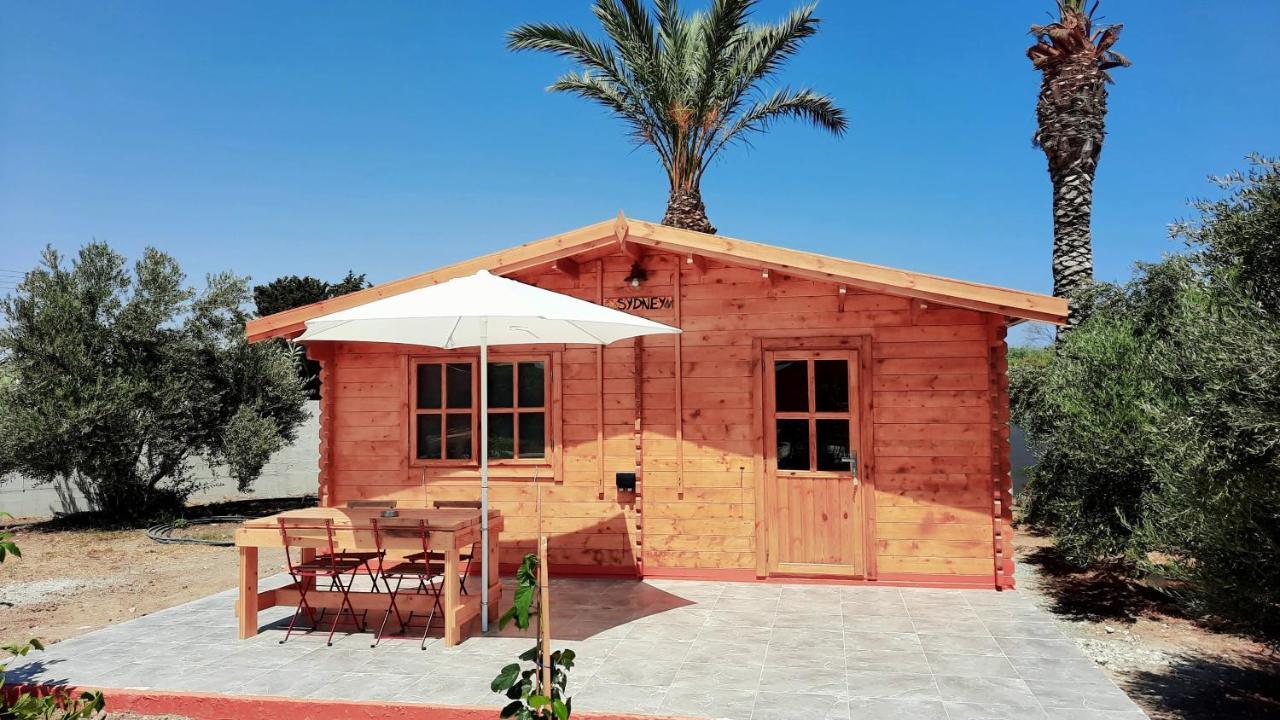 Готель Cyprus Glamping Park Agios Theodoros Екстер'єр фото