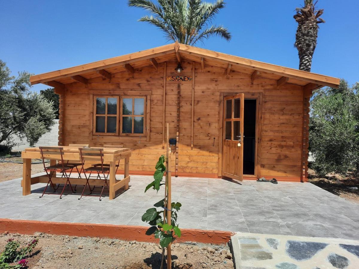 Готель Cyprus Glamping Park Agios Theodoros Екстер'єр фото